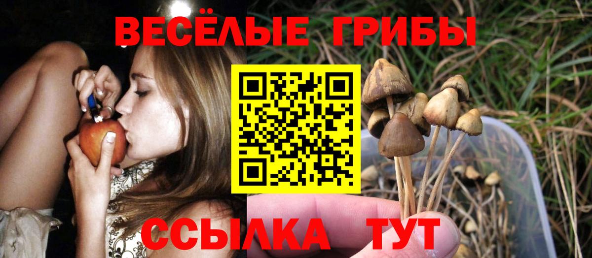 Галлюциногенные грибы Cubensis Саратов